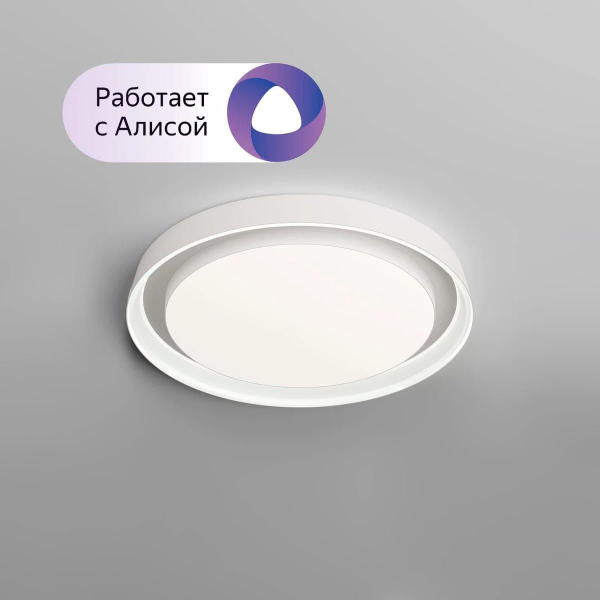 Потолочный светодиодный светильник Denkirs DK6515-WH/1 Потолочный светодиодный светильник Denkirs DK6515-WH/1