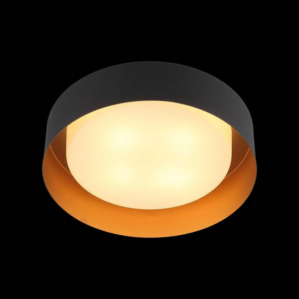 Потолочный светильник ST Luce Chio SL392.422.04 Потолочный светильник ST Luce Chio SL392.422.04