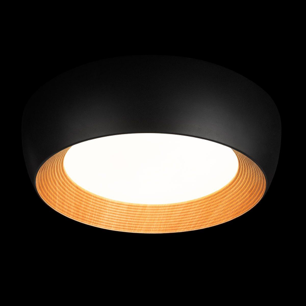 Потолочный светильник Loft IT Folk 10255/500 Black Потолочный светильник Loft IT Folk 10255/500 Black