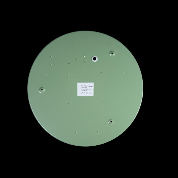 Потолочный светодиодный светильник Loft IT Axel 10003/24 green Потолочный светодиодный светильник Loft IT Axel 10003/24 green