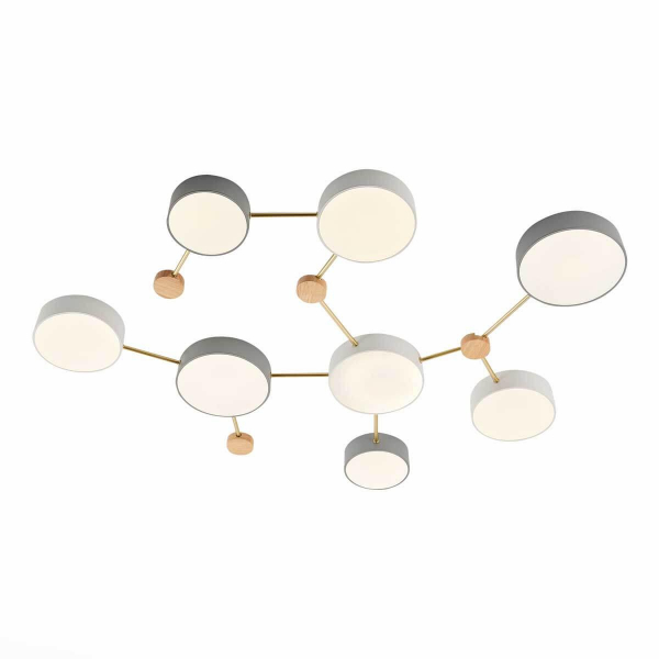 Потолочный светильник Evoluce DOSSENA SLE600102-08 Потолочный светильник Evoluce DOSSENA SLE600102-08