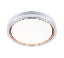 Потолочный светодиодный светильник Profit Light 2121/450 WH+GD