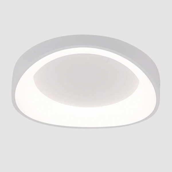 Потолочный светодиодный светильник Arte Lamp Sualocin A2698PL-48WH Потолочный светодиодный светильник Arte Lamp Sualocin A2698PL-48WH