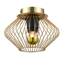 Потолочный светильник Lussole Loft Brooks GRLSP-8248