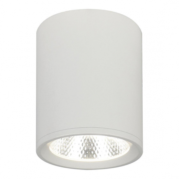 Потолочный светодиодный светильник Escada 20003SMU/02LED SWH Потолочный светодиодный светильник Escada 20003SMU/02LED SWH
