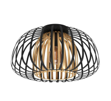 Потолочный светильник Eglo Encinitos 99664