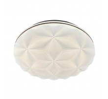 Потолочный светодиодный светильник Profit Light 2174/450 WH+CR