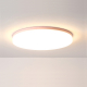 Потолочный светильник Imperium Loft DISC-C01 193126-26