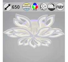 Светильник потолочный Reluce 85162-0.3-6+3C