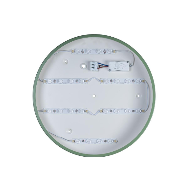 Потолочный светодиодный светильник Loft IT Axel 10003/24 green Потолочный светодиодный светильник Loft IT Axel 10003/24 green