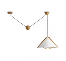 Потолочный светильник Freya Modern FR5554CL-01T