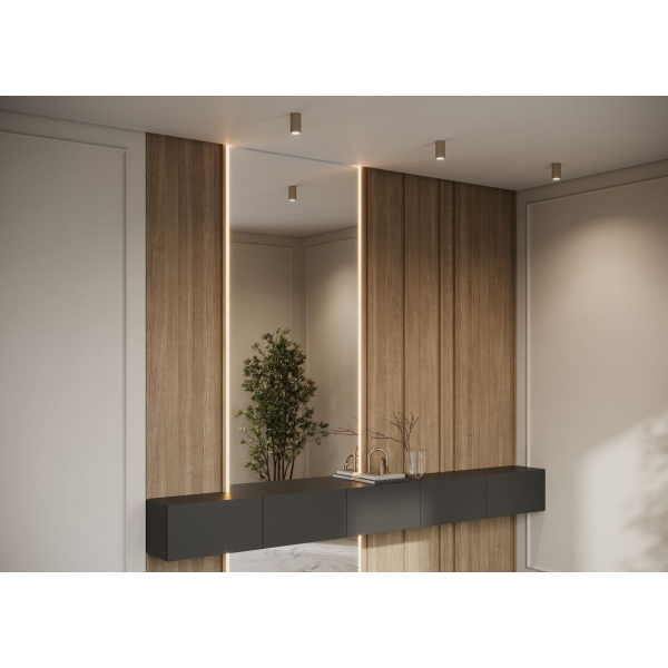 Потолочный светильник Maytoni Technical Calipso C106CL-01-GU10-BS