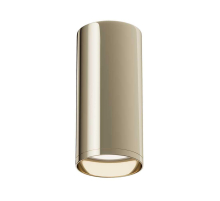 Потолочный светильник Maytoni Technical Focus C010CL-01G