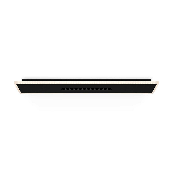 Потолочный светильник Freya Сияние / Shine FR6105CL-L40B