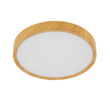 Потолочный светодиодный светильник Eglo Musurita 98601