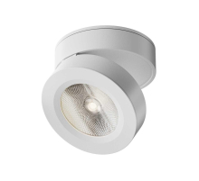 Потолочный светильник Technical C022CL-12W4K-W-1
