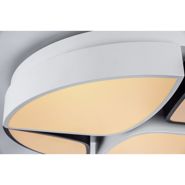 Потолочный светодиодный светильник Escada 10211/4LED