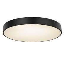 Потолочный светодиодный светильник Globo Wiss 41744-48S