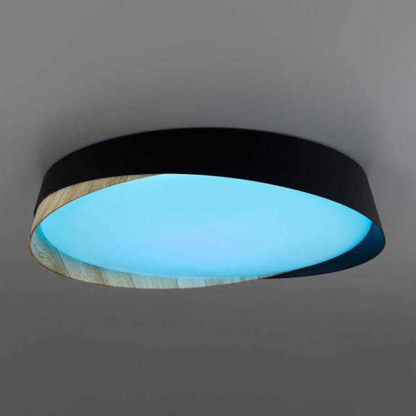 Потолочный светильник Citilux CL754351G