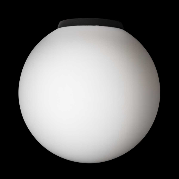 Светильник потолочный Citilux RON CL941D20B5