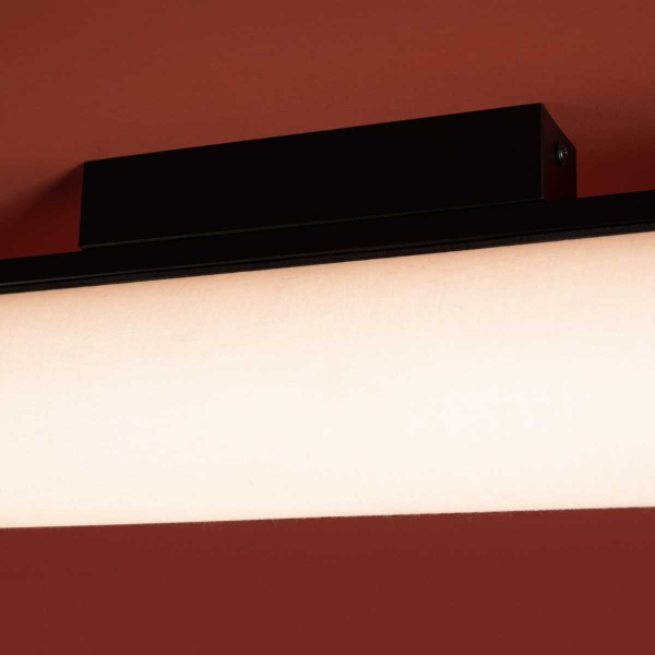 Потолочный светильник Freya Modern Even FR5625CL-L20B