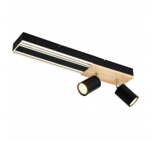 Потолочный светильник F-Promo Olika 4437-2C