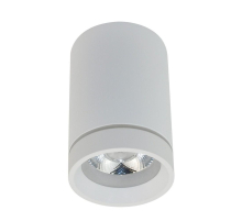 Потолочный светодиодный светильник Aployt Edda APL.0054.09.10