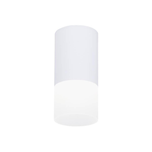 Потолочный светодиодный светильник Ambrella light Techno Spot TN231