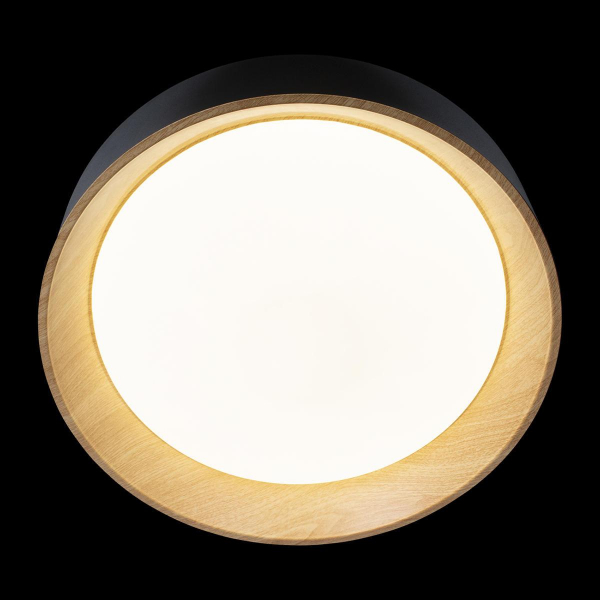 Потолочный светодиодный светильник Loft IT Coin 10202 Black Потолочный светодиодный светильник Loft IT Coin 10202 Black