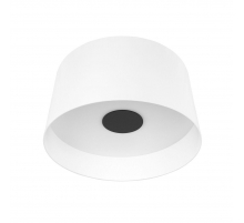 Потолочный светодиодный светильник Loft IT Duo 10360L White Потолочный светодиодный светильник Loft IT Duo 10360L White