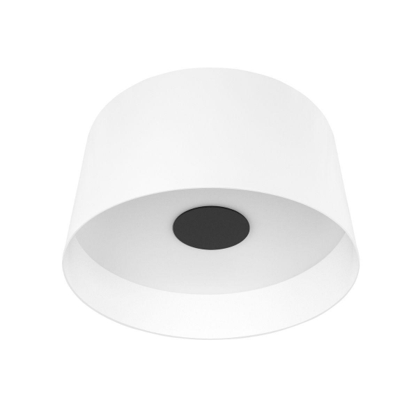 Потолочный светодиодный светильник Loft IT Duo 10360L White Потолочный светодиодный светильник Loft IT Duo 10360L White
