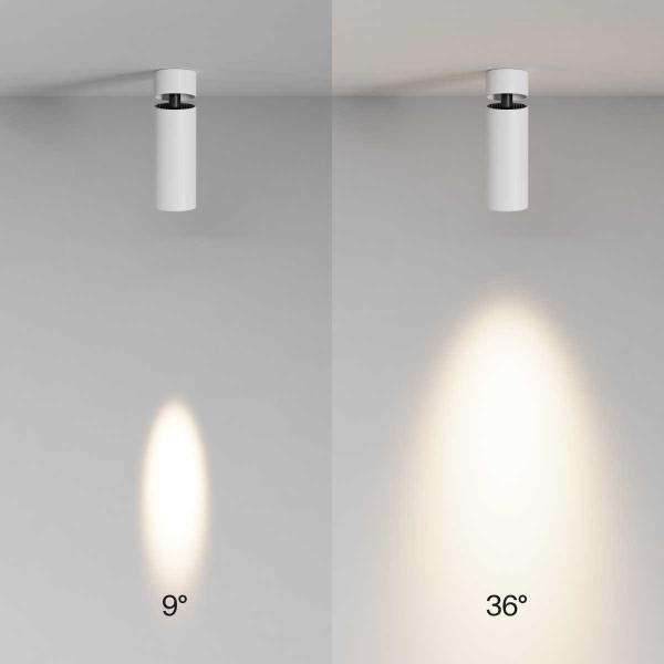 Потолочный светильник Maytoni Technical C055CL-L12W3K-SS-W