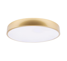 Потолочный светодиодный светильник Loft IT Flims 10228/A