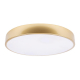 Потолочный светодиодный светильник Loft IT Flims 10228/A