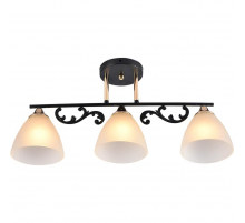 Потолочный светильник Reluce 01278-0.3-03B BK+FGD