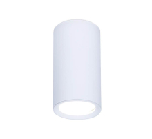 Потолочный светильник Ambrella light Techno Spot TN218