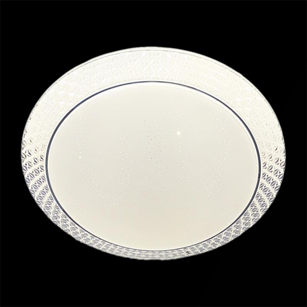 Потолочный светильник Reluce 02099-9.2-24W*2 Потолочный светильник Reluce 02099-9.2-24W*2