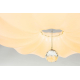 Потолочный светодиодный светильник Escada 10231/S LED