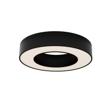 Потолочный светильник Maytoni Technical C093CL-24W3K-B