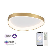 Потолочный светодиодный светильник Citilux Genka Smart CL756A142