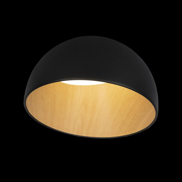 Потолочный светодиодный светильник Loft IT Egg 10197/350 Black Потолочный светодиодный светильник Loft IT Egg 10197/350 Black