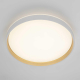 Потолочный светильник Citilux CL753510G
