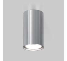 Потолочный светильник Elektrostandard 1081 GU10 SCH сатин хром a038491