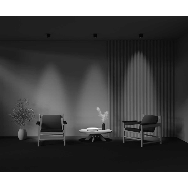 Потолочный светильник Maytoni Technical Ceiling Lens C217CL-15W3K-B