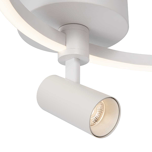 Потолочный светильник Freya Прожекторы / Spotlights FR6083CL-L32W