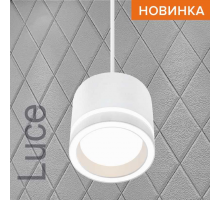 Потолочный светильник WOLTA WSL-GX53/P06W