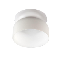 Потолочный светильник Loft IT Totem 10466 Milky white