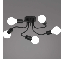 Светильник потолочный Reluce 01728-0.3-05 BK