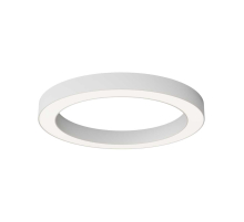 Потолочный светильник Maytoni Technical C093CL-45W4K-W