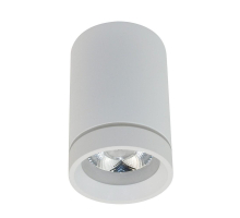 Потолочный светодиодный светильник Aployt Edda APL.0053.09.10